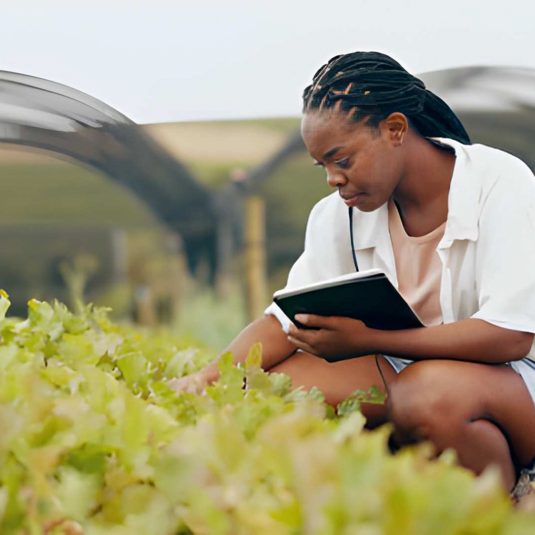 Sécurité alimentaire, agriculture durable et systèmes résilients